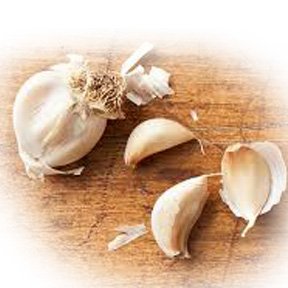 Lehsun (Garlic) 02
