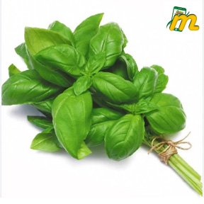 Italian Basil Leaves 1KG
