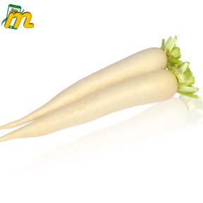 Sweet Radish बिना पत्तों के 1KG