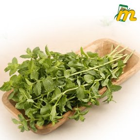 Pudina 1KG