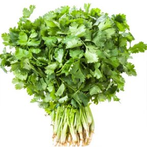 Dhaniya Patta gaddi 1kg