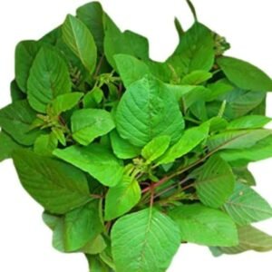 Chorai Saag