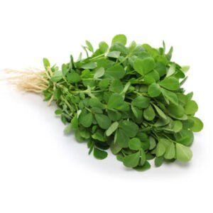 Green Methi