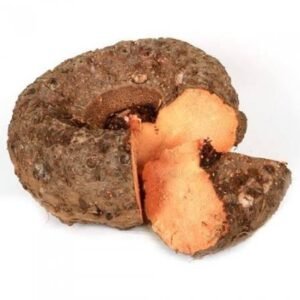 जिमीकंद Yam (Elephant Foot)
